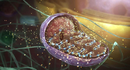 1643096581247704.png 20.png